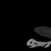 SPORK, NICO - 22.03.1976 - 02.08.2022 - CT obere Extremität - 17:59:38